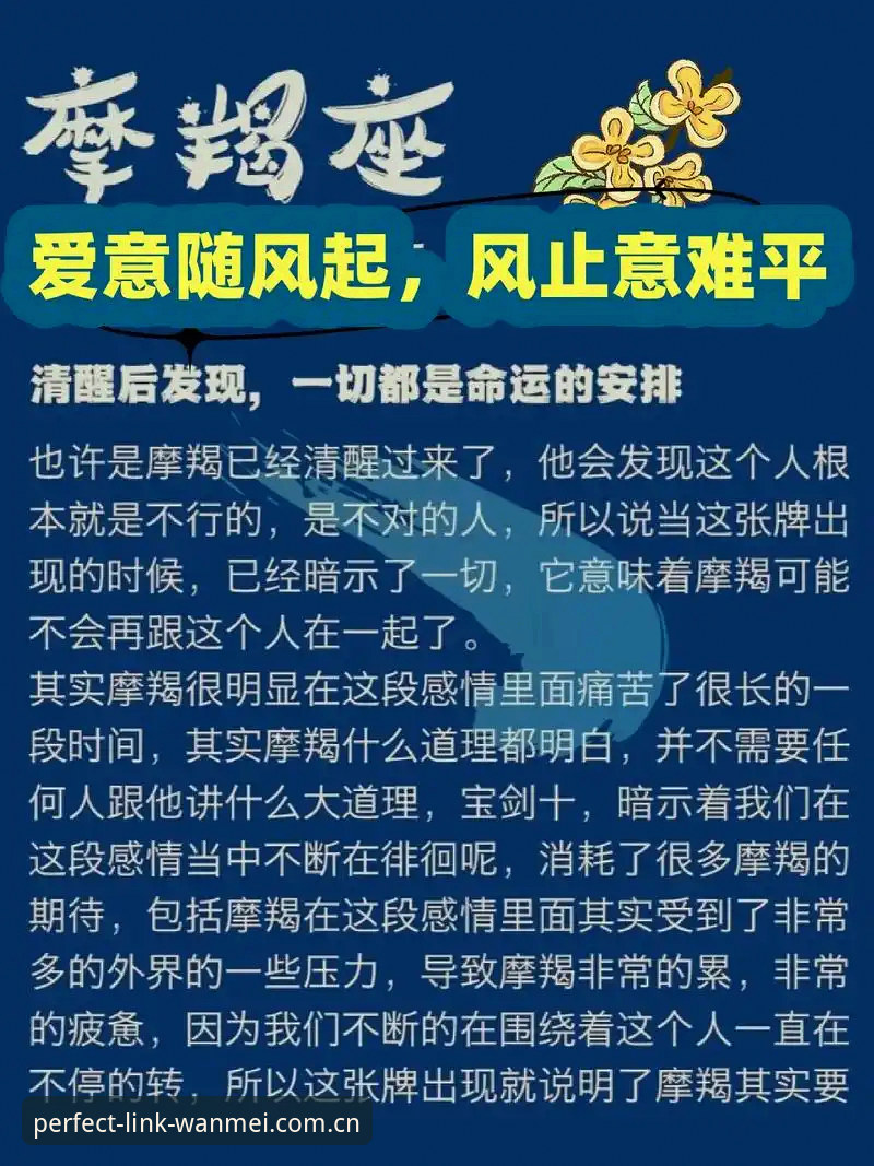 2026完美体育最新版下载 vs 旧版本：差异到底有多大？一个老用户的真实对比